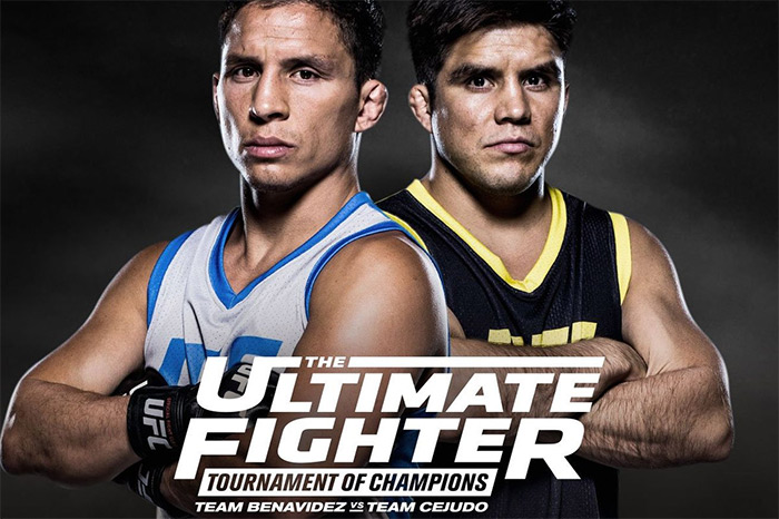 The Ultimate Fighter 24, tizedik rész – összefoglaló