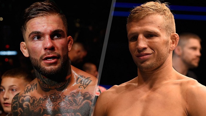 A UFC 217-re tették a Cody Garbrandt-T.J. Dillashaw indulatmeccset