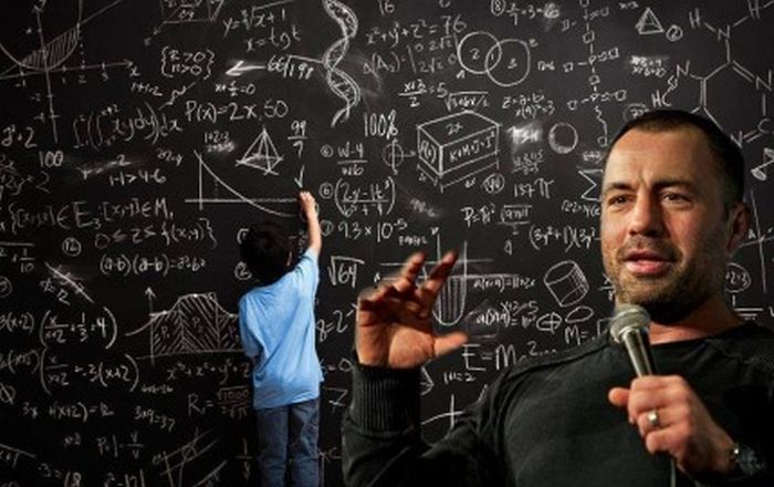 Joe Rogan: hiba volt a UFC részéről, hogy engedte bunyózni Bispinget