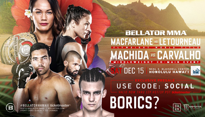 Borics Ádám: ”Meglátjuk, de december közepén szeretnék újra harcolni!”