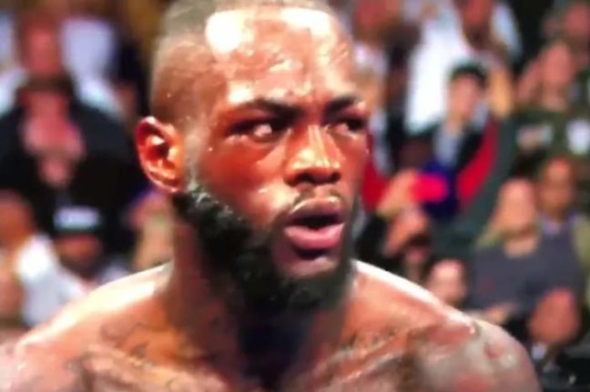 Wilder szerint Fury nem állt fel időben, a fél internet ezen háborog