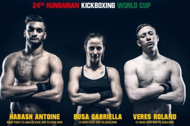 12 aranyérmet csíptünk meg a budapesti kick-box vk-n