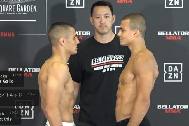 Bellator 222 mérlegelés: nem marad el bunyó (videók)