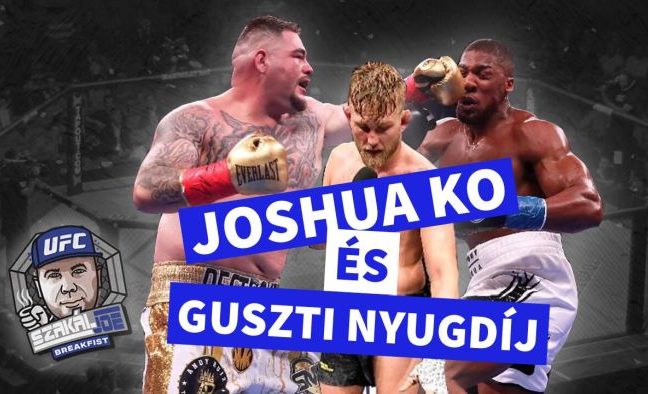Joshua KO és Gustafsson nyugdíj