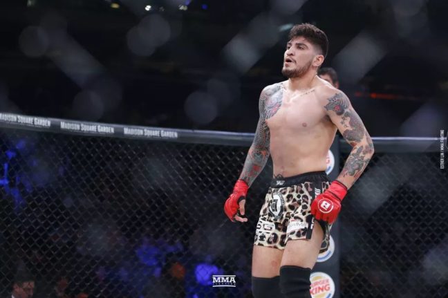 Dillon Danis titkolt térdsérüléssel bunyózott a Bellator 222-n