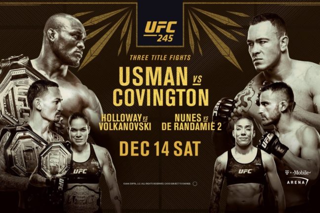 Tippelde UFC 245