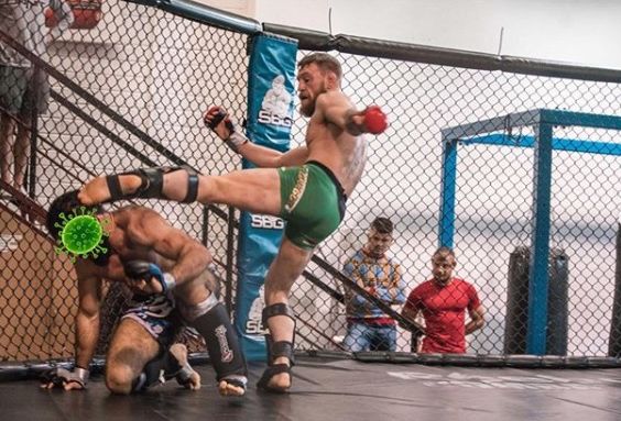 Így edzenek kedvenc küzdősportolóink az otthoni karantén idején