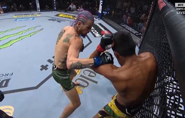 Sean O'Malley az első menetben lerombolta ellenfelét a UFC 269-en 