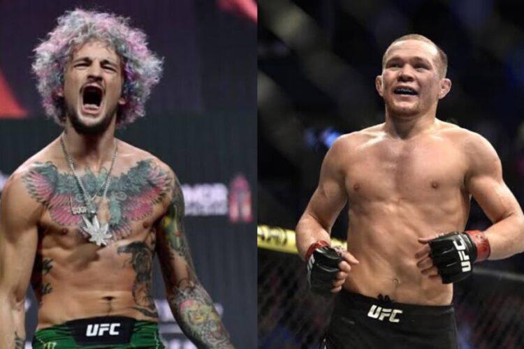Sean O'Malley következő ellenfele Petr Yan lesz, a UFC 280-on bunyóznak!