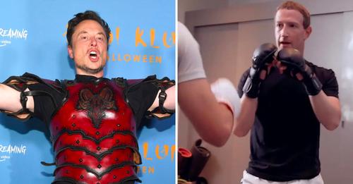 Elon Musk kihívta Mark Zuckerberget egy MMA fight-ra
