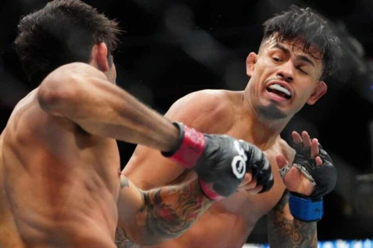 UFC Fight Night 237: Brandon Moreno és Brandon Royval felkészültek, a győztesnek jó esélye van a címmérkőzésre