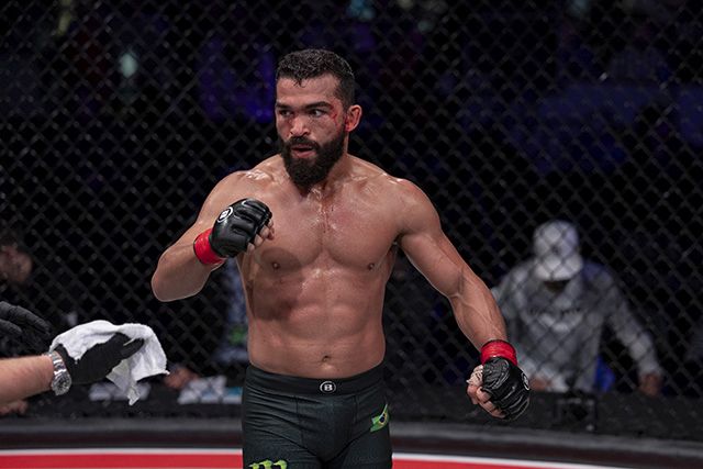 A PFL elengedte Pitbullt!