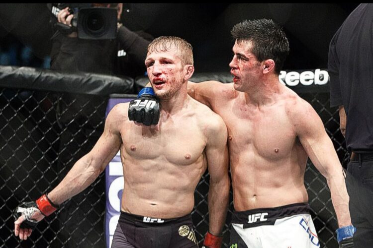 T.J. Dillashaw vállspecialistát ajánlott egykori ellenfelének, Dominick Cruznak