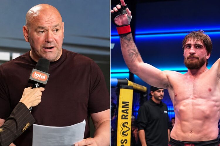 Dana White megnyugtató üzenetet küldött Növényi Norbinak, miután nem adott neki UFC-szerződést
